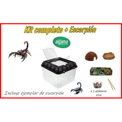 Kit completo + Escorpión